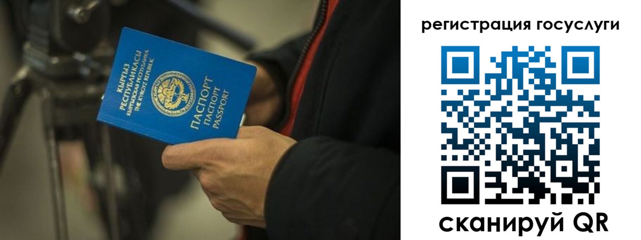 регистрация в Лузе